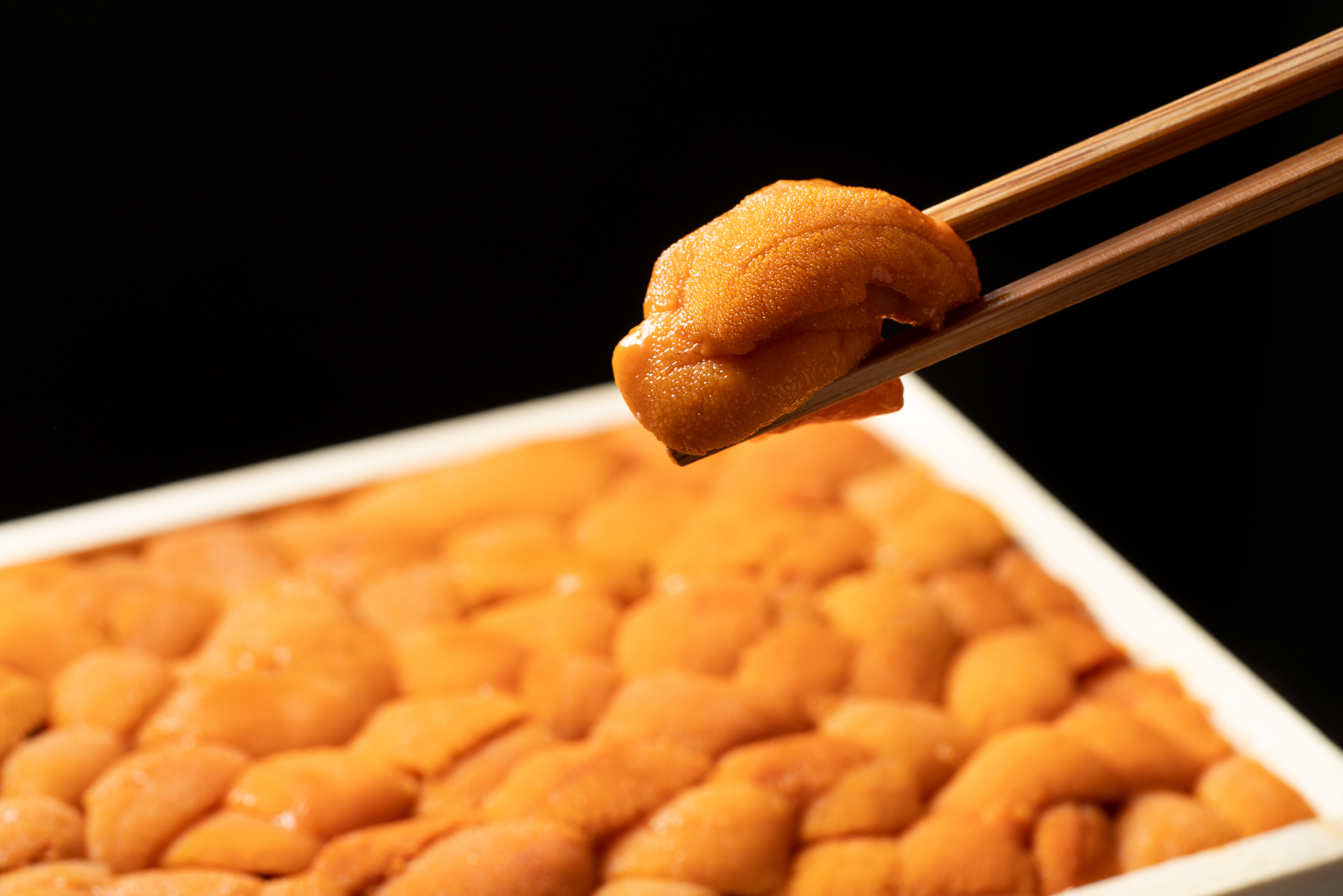 ウニ箱 イメージ